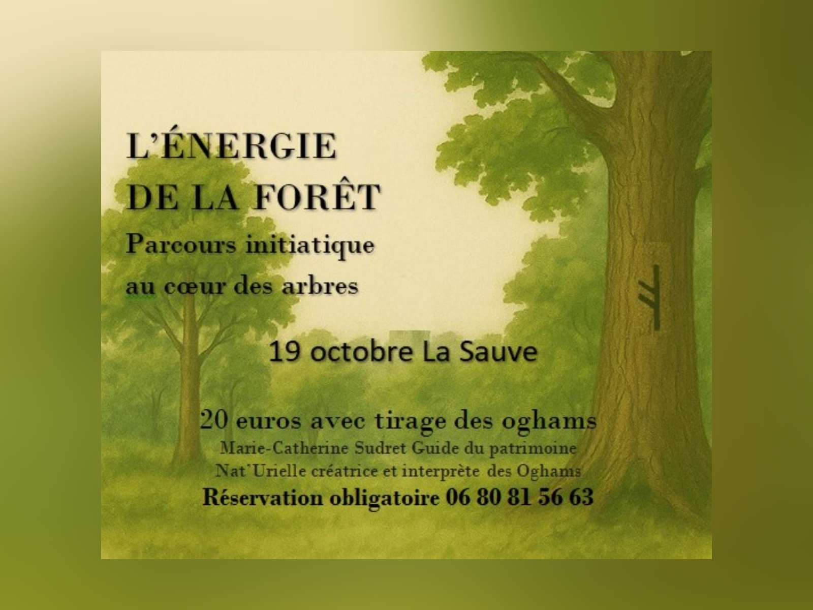 L'énergie de la Forêt