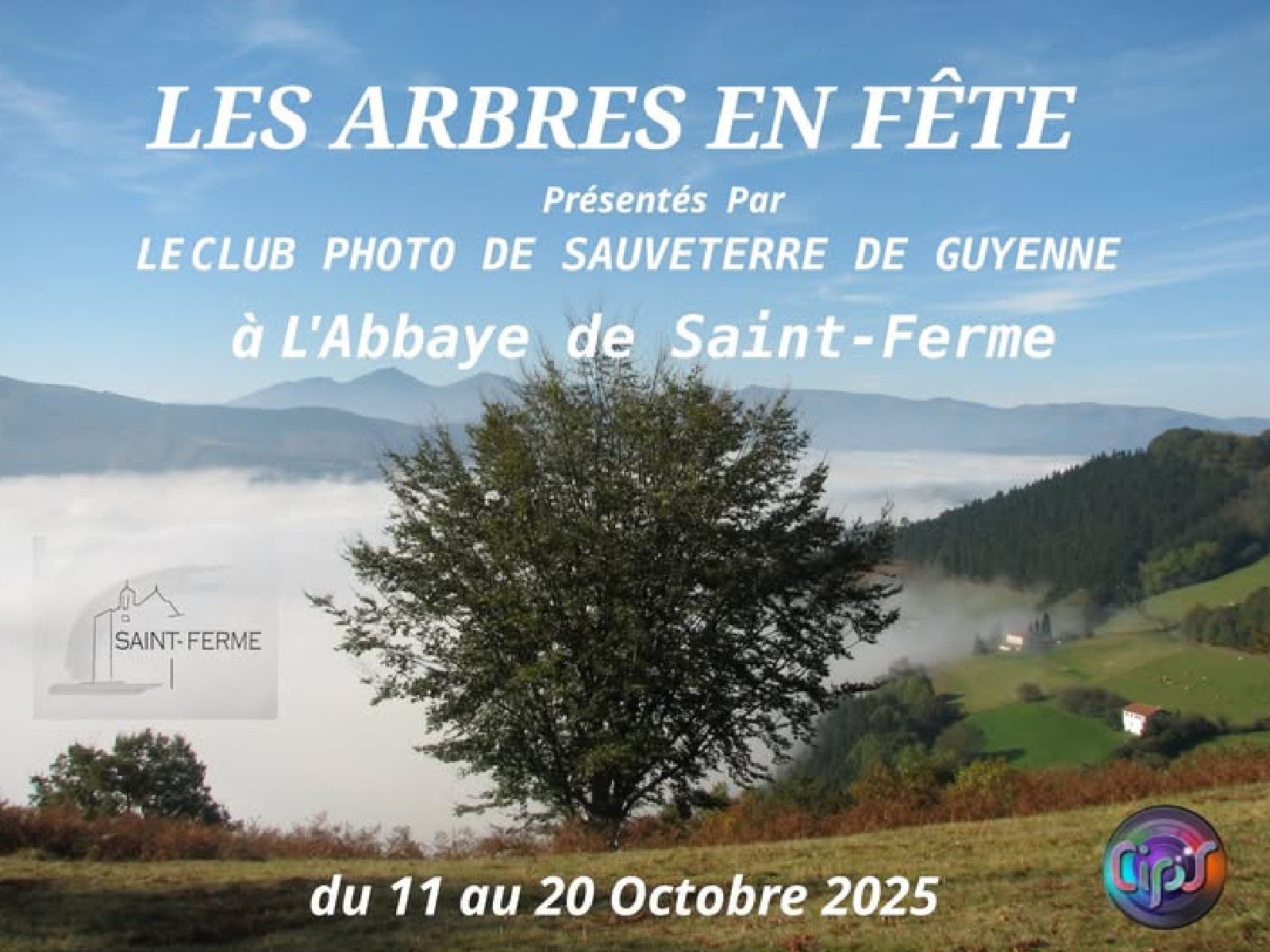 Les Arbres en Fête