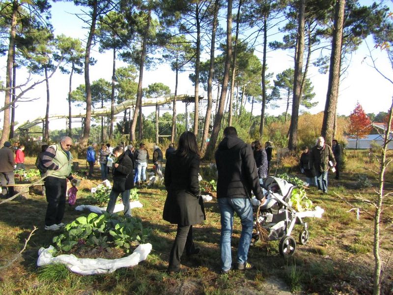 La journée Verte - Crédit: JOURNEE VERTE | CC BY-NC-ND 4.0