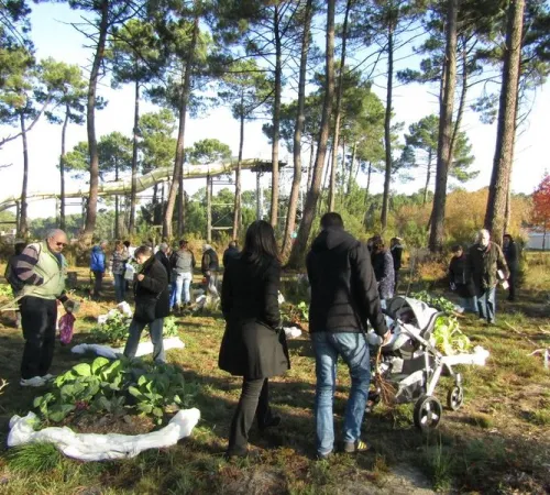 La journée Verte