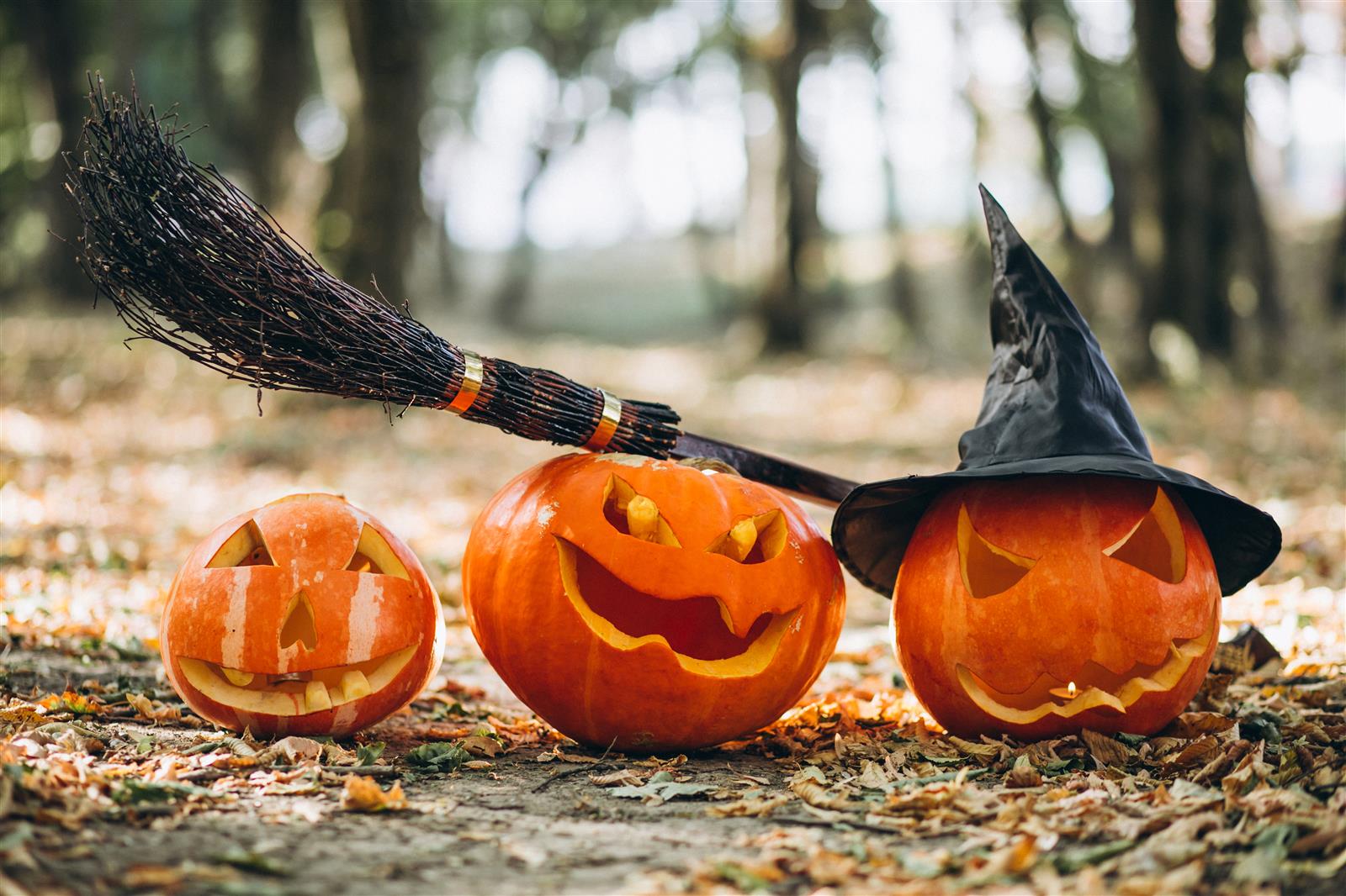 Halloween à La Cave des Tontons