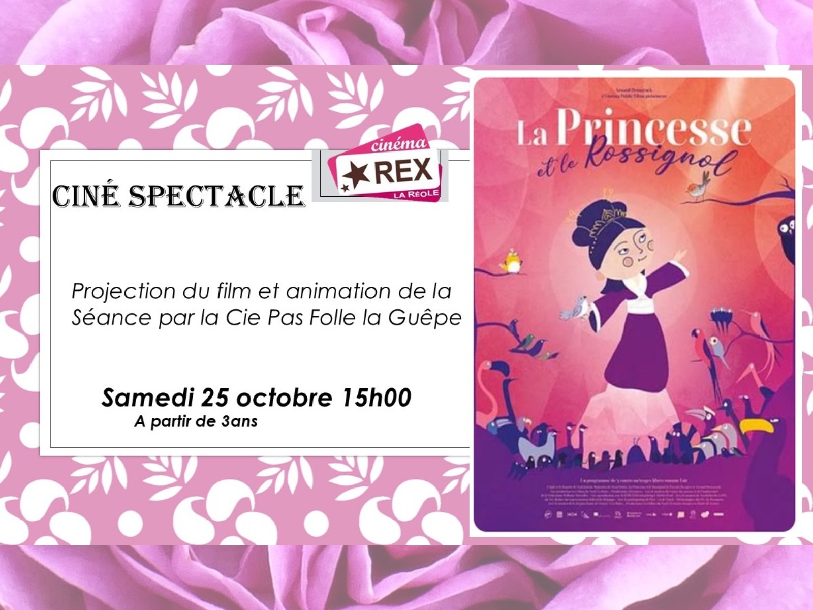 Ciné / spectacle : La princesse et Le rossignol