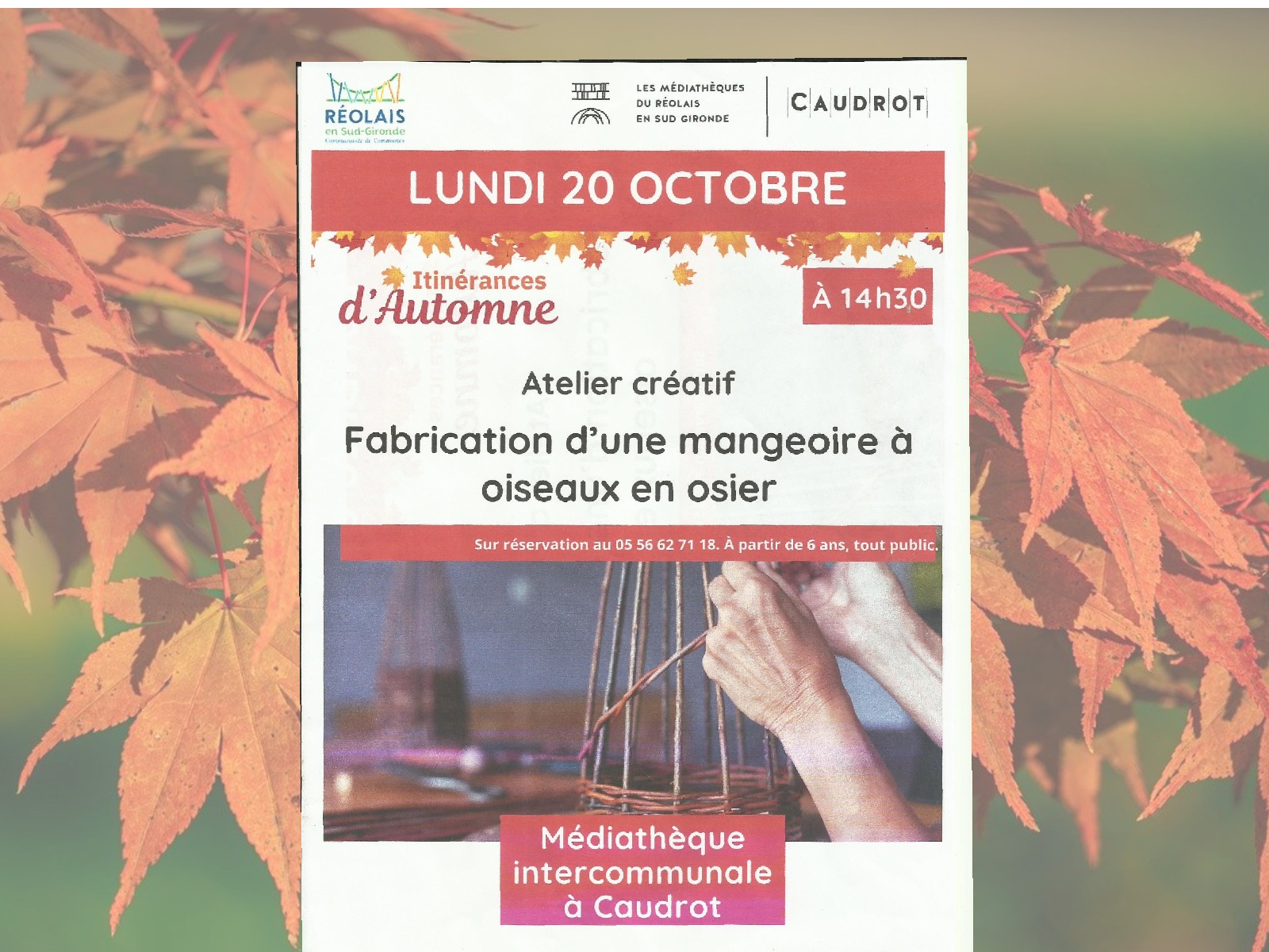 Atelier : Fabrication de boules de graines et  ...