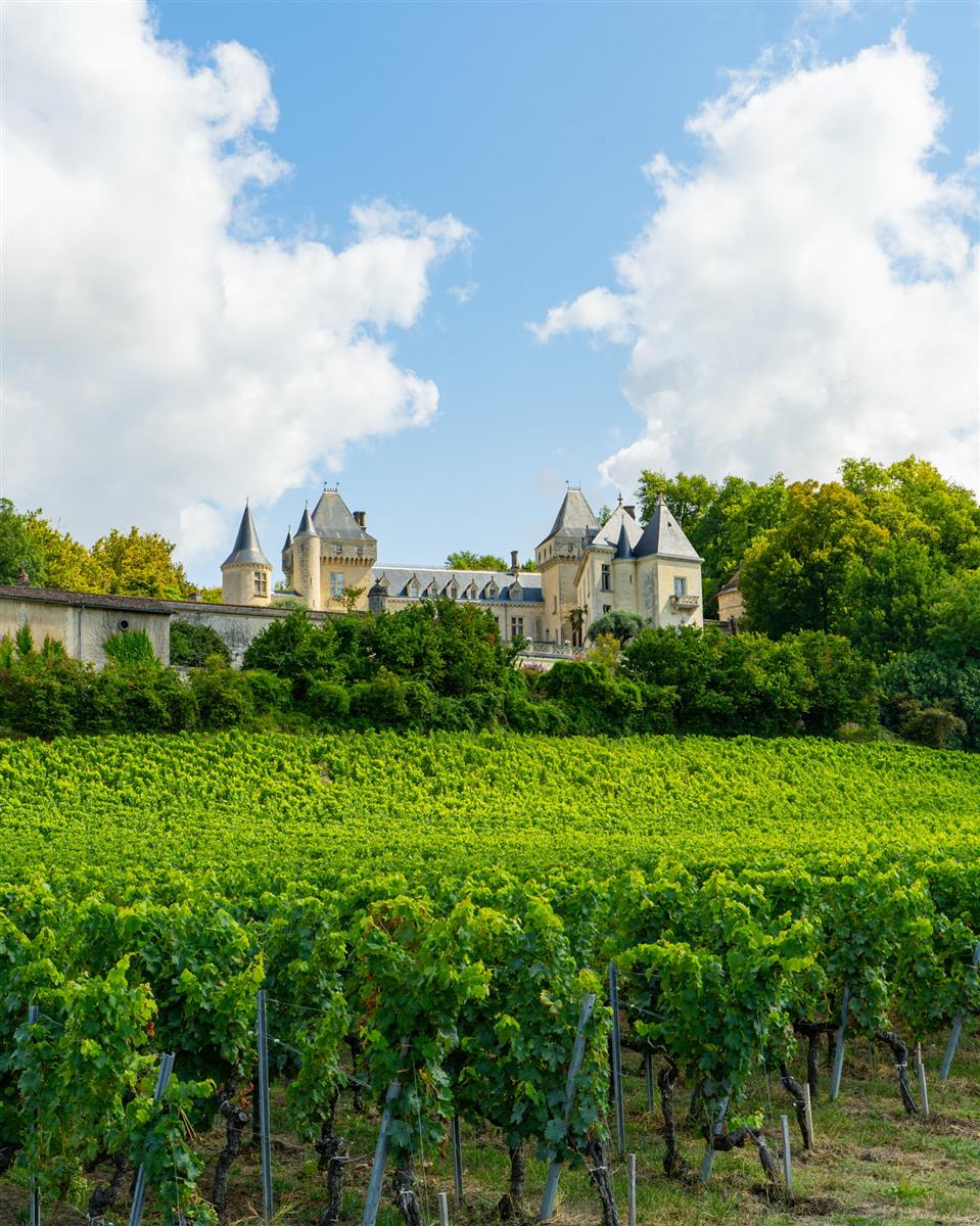Château de La Rivière - Portes ouvertes Fronsa ...