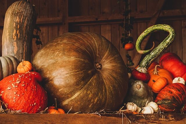 Repas d'Automne par La Roquille en fêtes