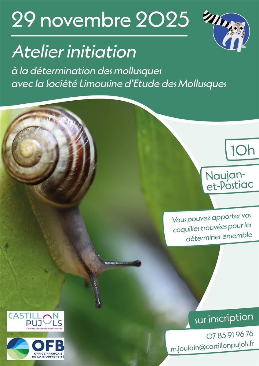 Atelier initiation à la détermination des moll ...