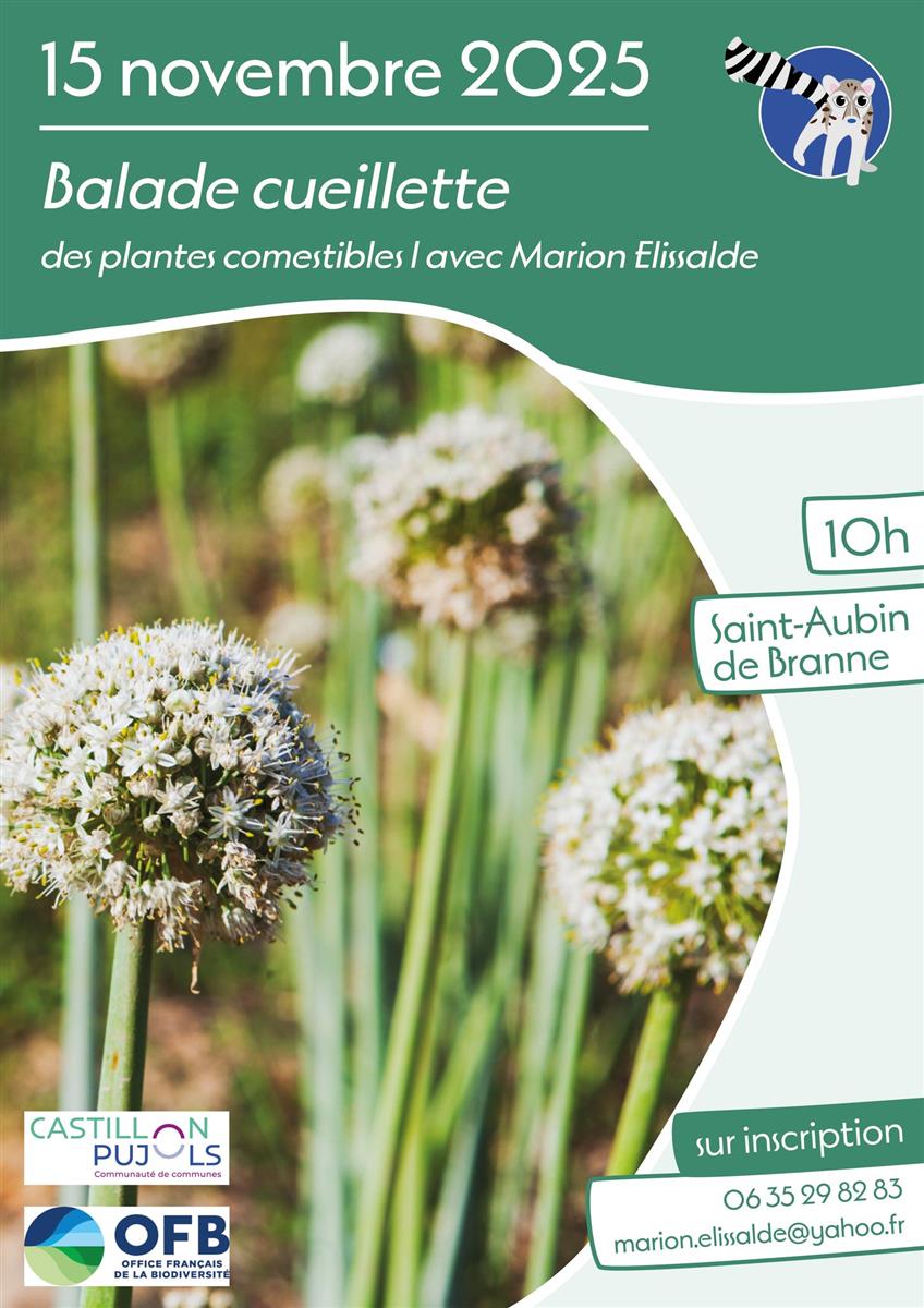 Balade cueillette de plantes comestibles