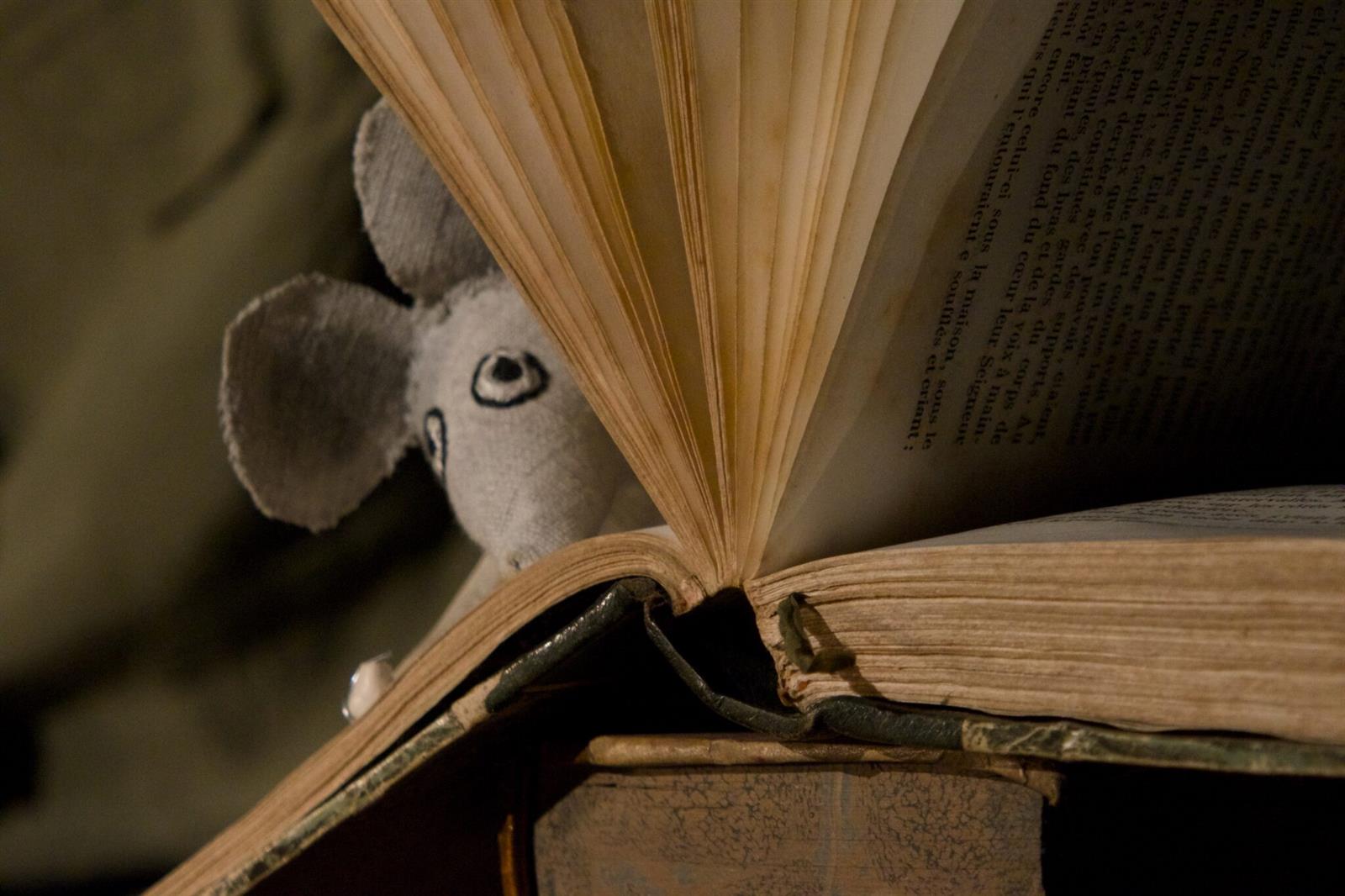 Spectacle "Ata les voyages infinis"