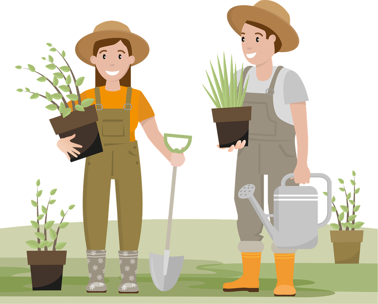 Plantation de végétaux