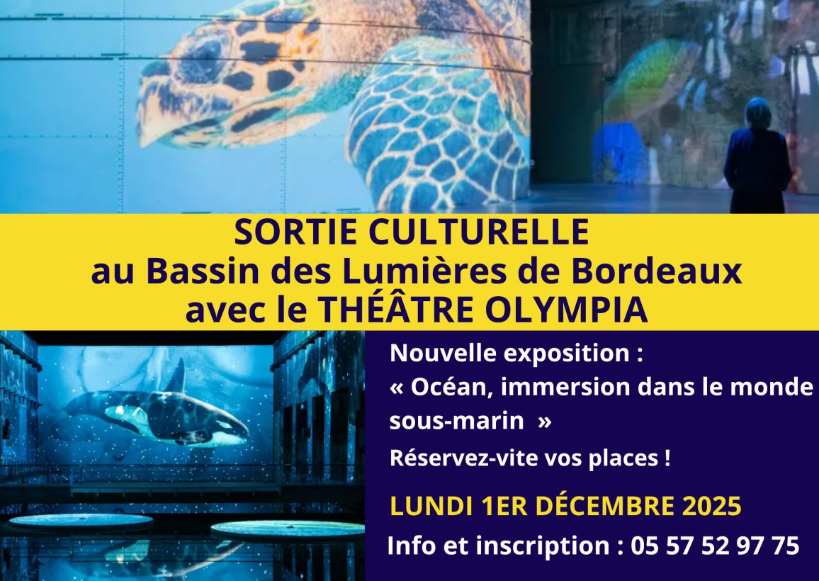 Sortie culturelle au Bassin des Lumières de Bo ...