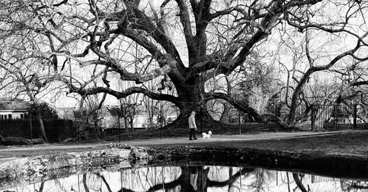 Exposition du photographe Daniel Olivier à Coe ...