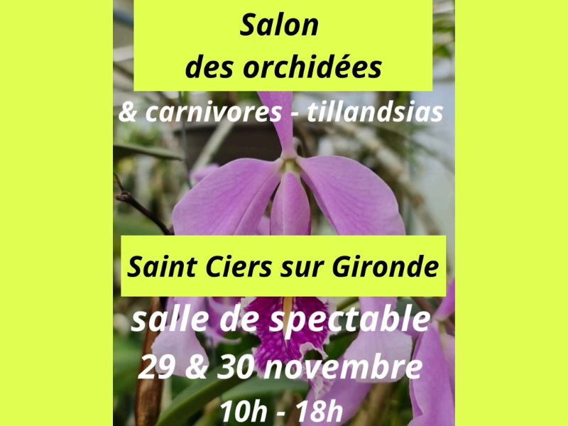 Salon des orchidées