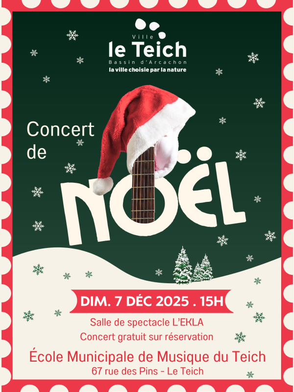 Concert de Noël de l'Ecole Municipale de Musiq ...