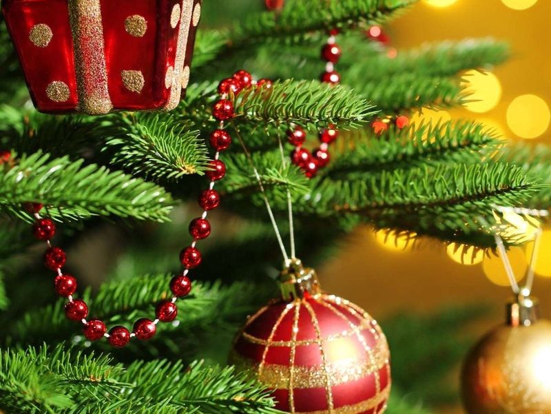 Concert et marché de noël à St Laurent d'Arce