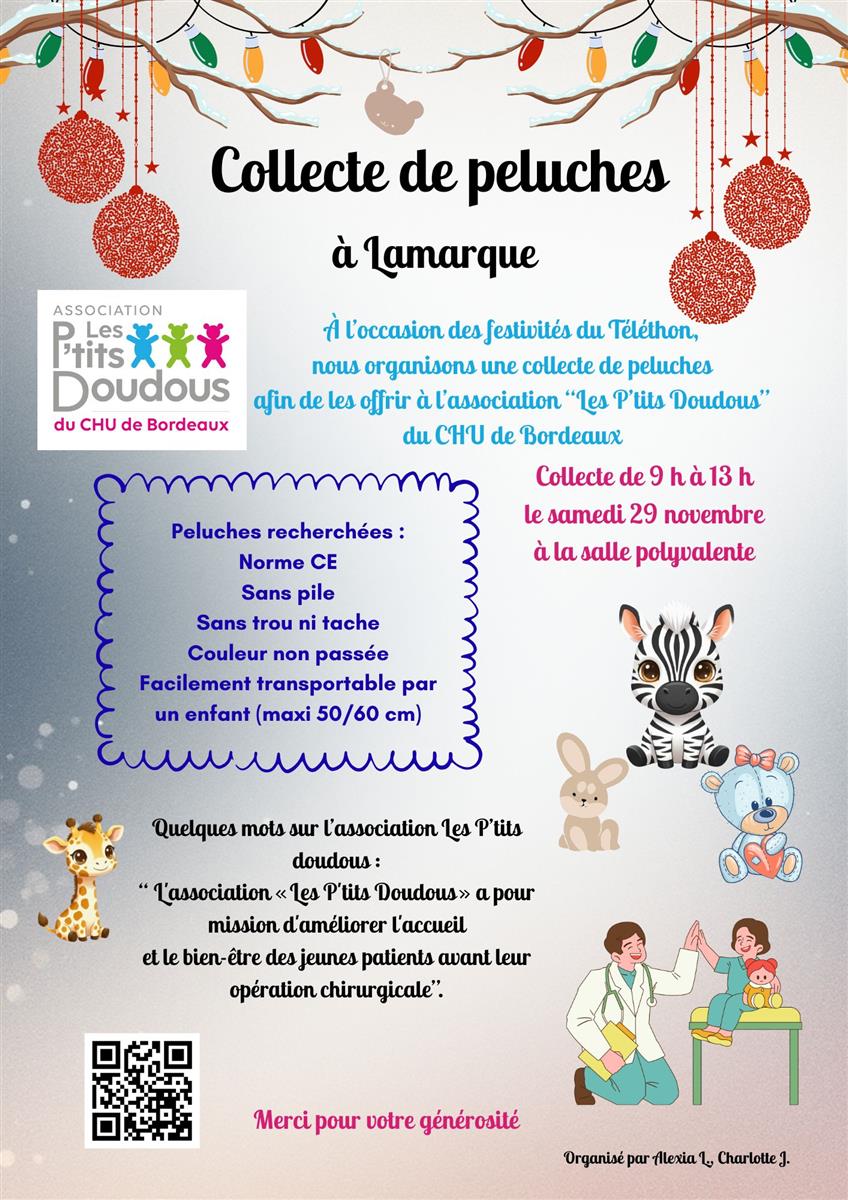 Collecte de peluches à Lamarque