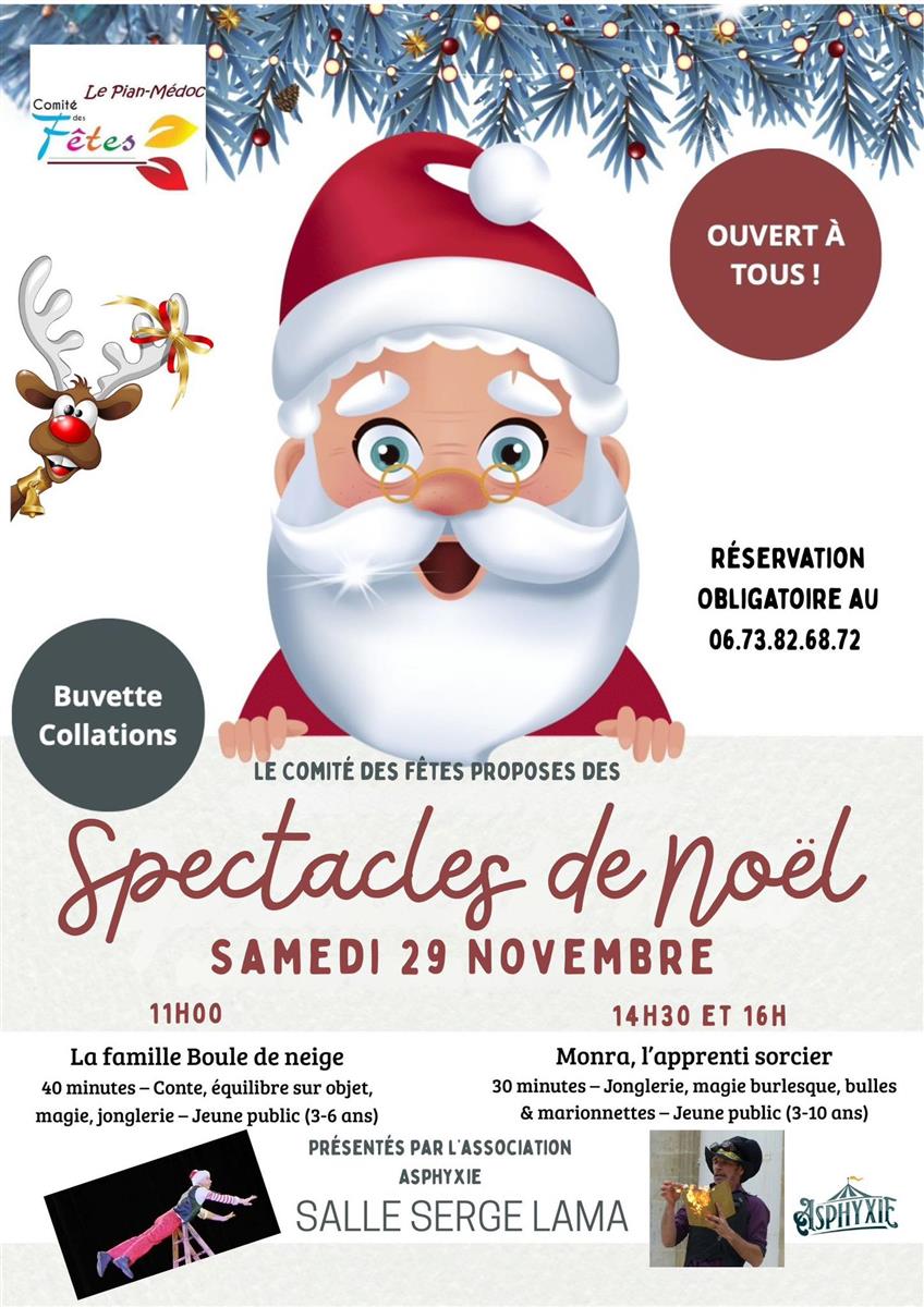 Spectacles de Noël