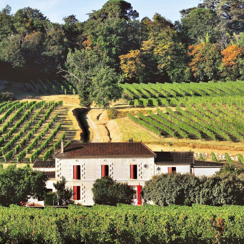 Portes ouvertes de Noël au Château Guillaume Blanc