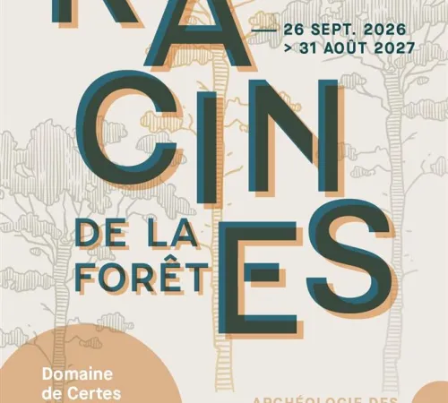 Exposition au Domaine de Certes et Graveyron : aux racines de la forêt