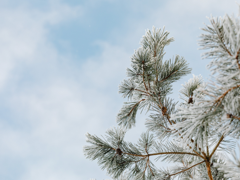 Programme du mois de février au GDAR