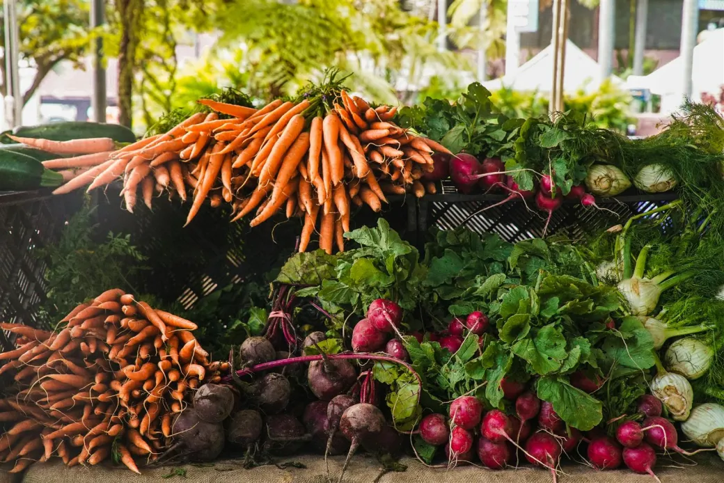 Marché de Beautiran - Crédit: libre de droit | CC BY-NC-ND 4.0