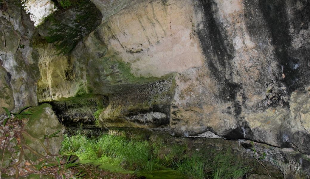 Découverte du site du Mugron - Roc de Thau ave ...