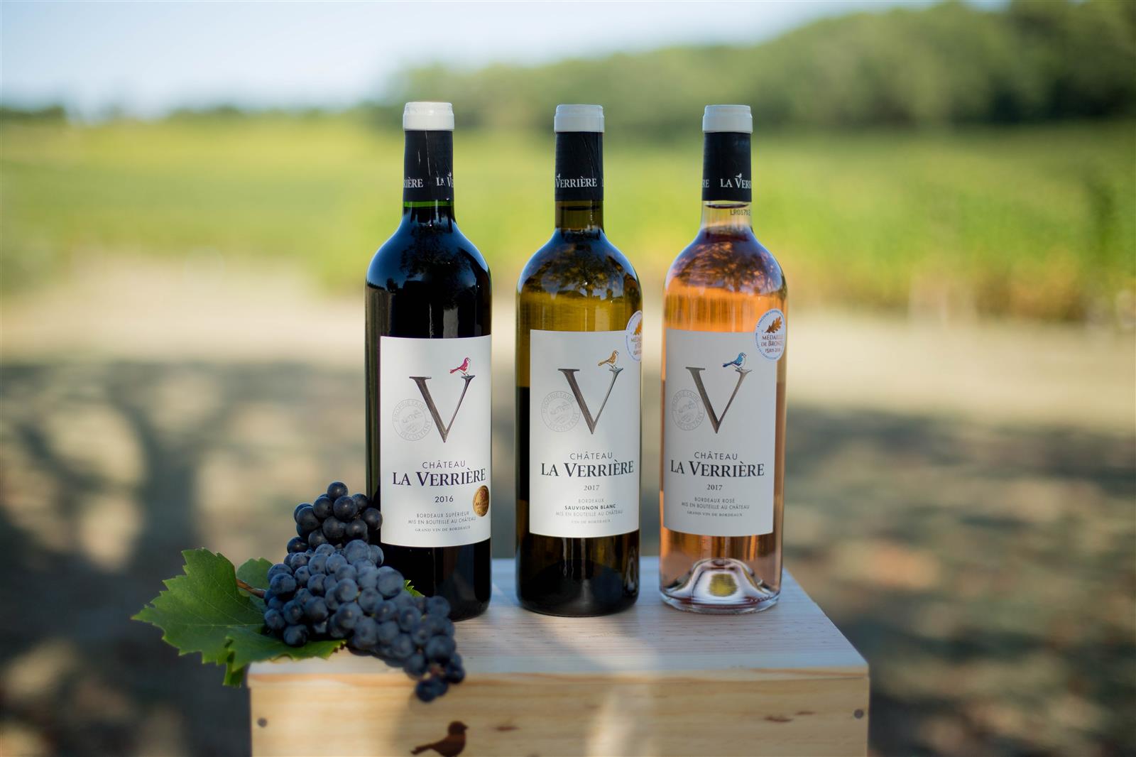 Portes ouvertes au Château La Verrière