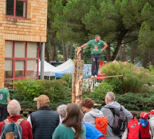 Fête de l'Environnement, de la Forêt et des métiers du Médoc (FEFOMM)