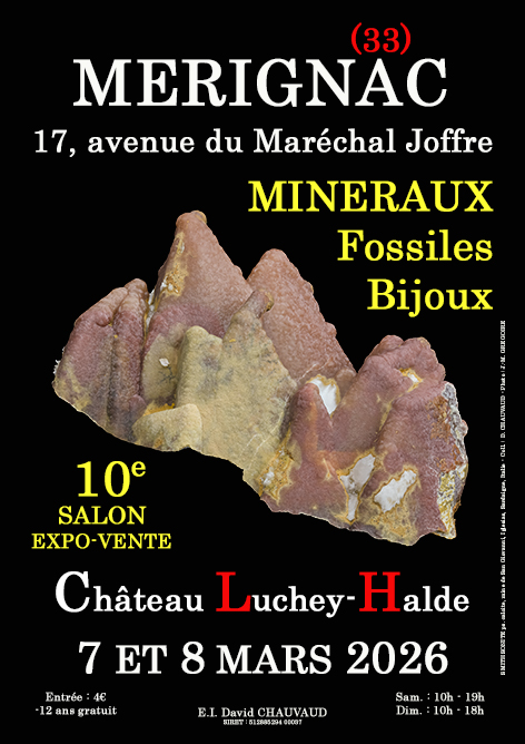 10e SALON MINERAUX FOSSILES BIJOUX