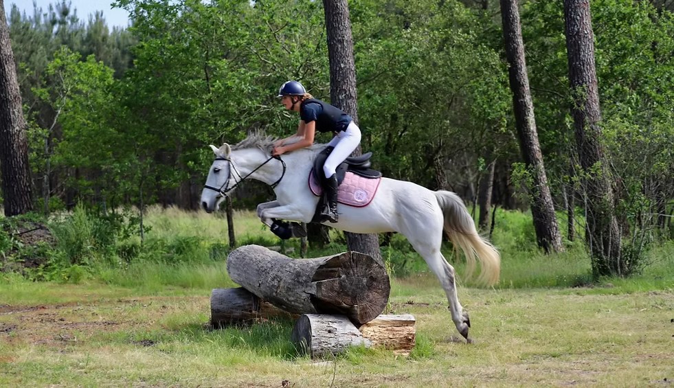 Concours de sauts d'obstacles au Centre équestre