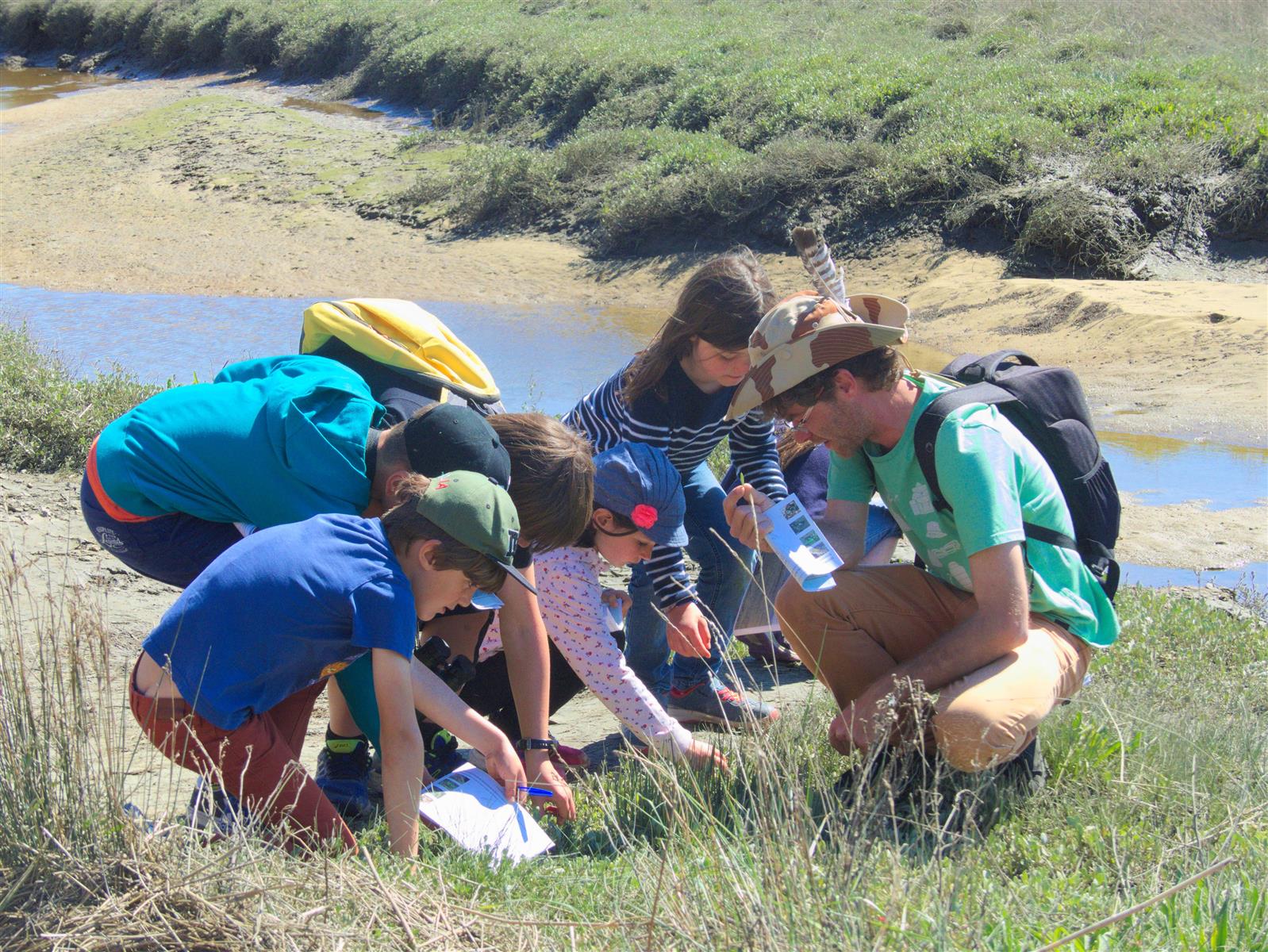 Plage, coquillages et farfouillage