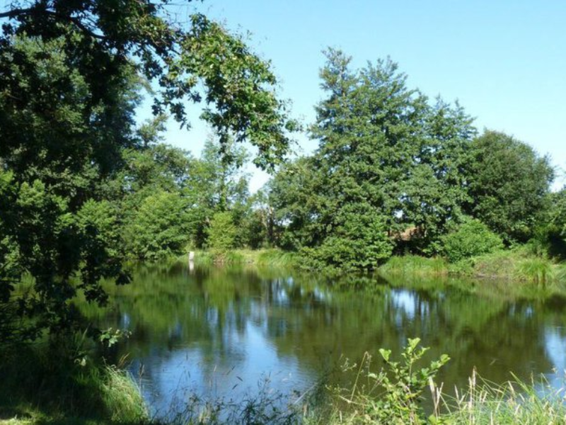 Sortie Natura 2000 "Les 4 Fantastiques" : Visi ...