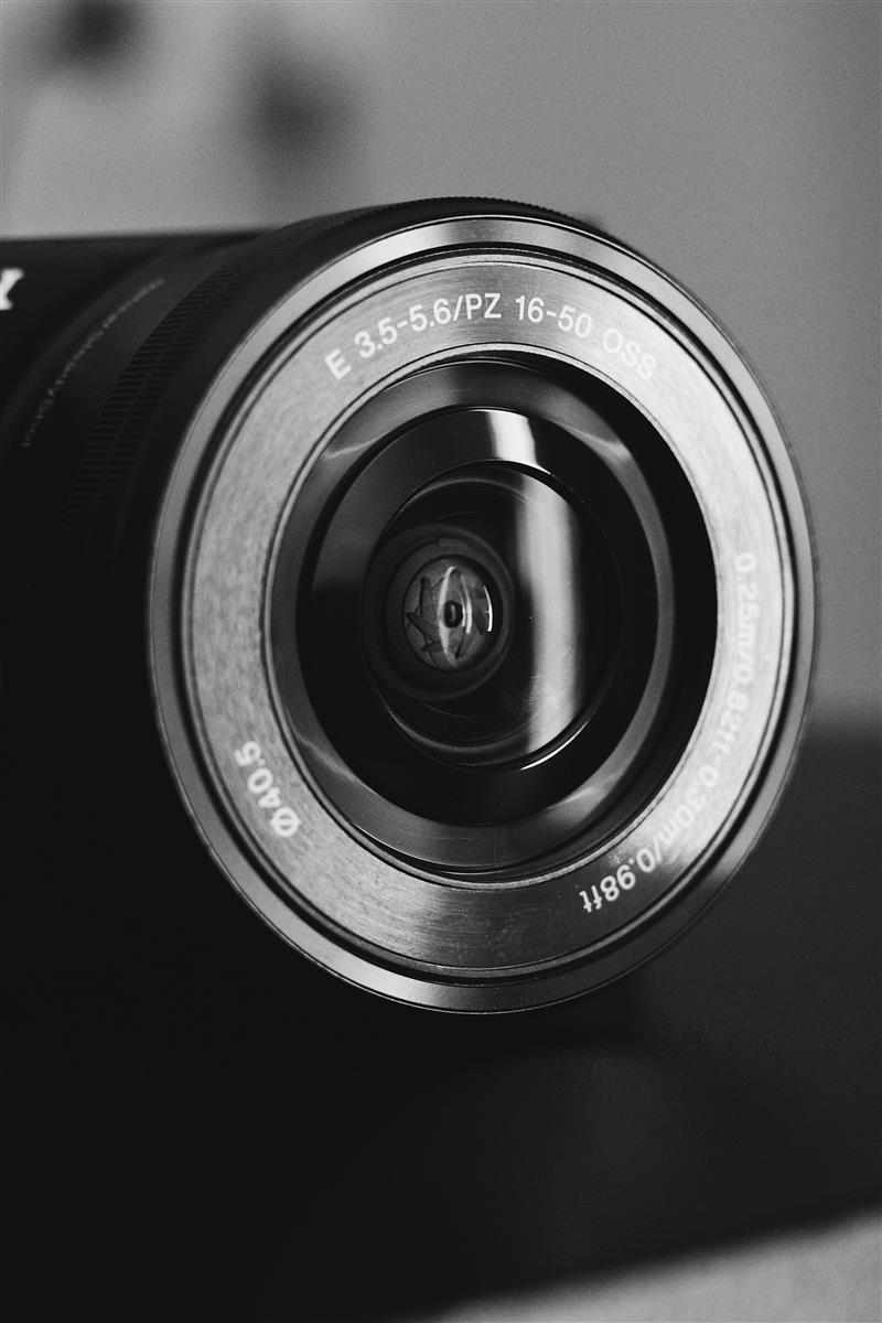 Visite accompagnée : derrière l'objectif de Do ...