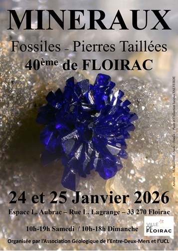 40ème salon de minéralogie et de paléontologie