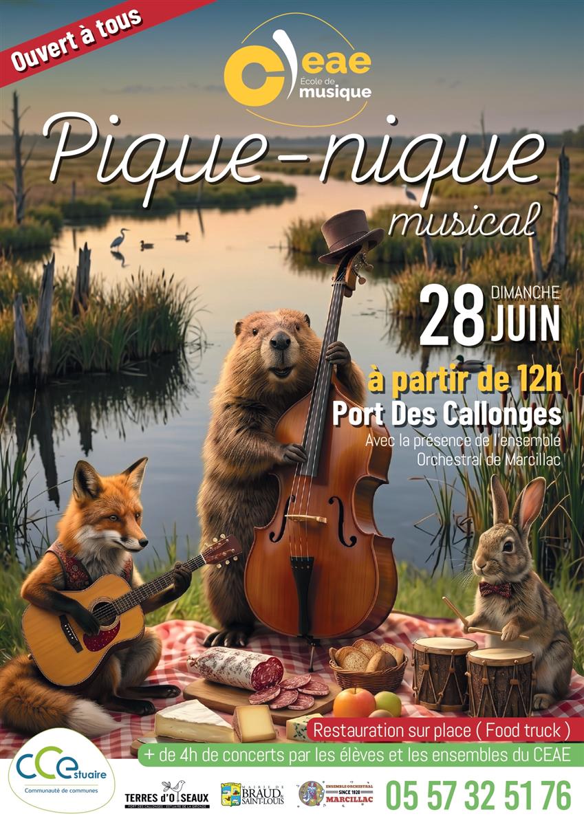 Pique-nique musical du centre d'enseignement a ...
