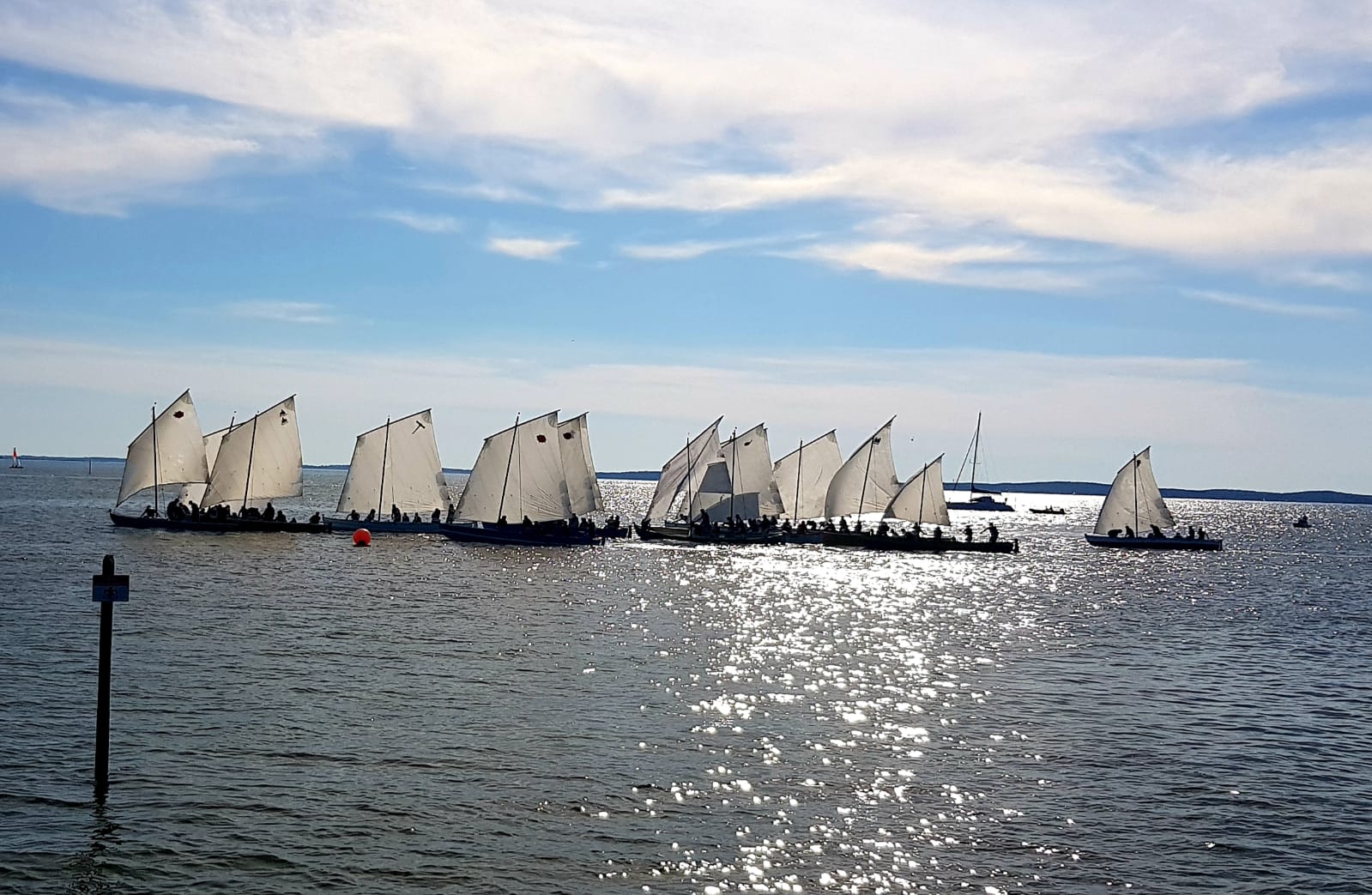 La 10e édition des Voiles en liberté accueille ...