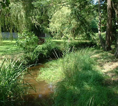 Histoire d'un ruisseau