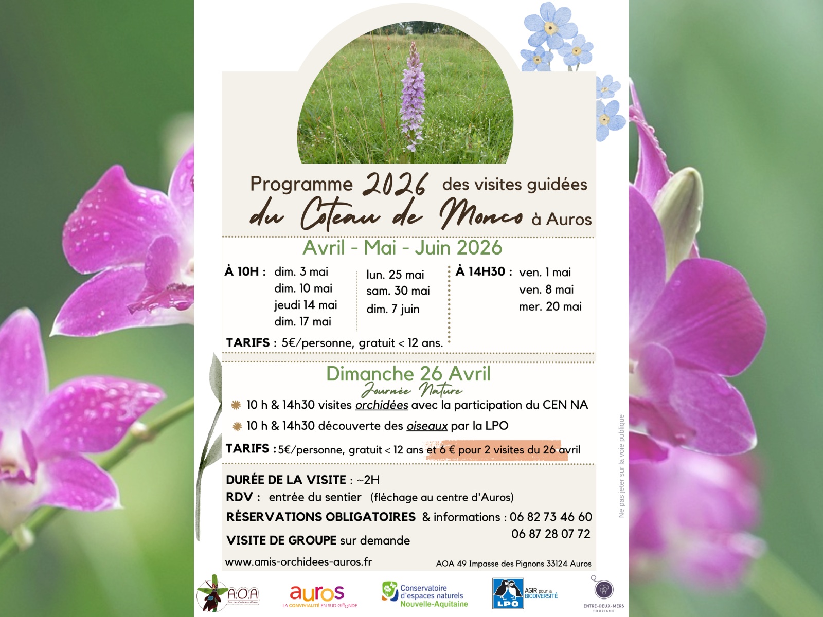 Visite des orchidées du sentier de Monco