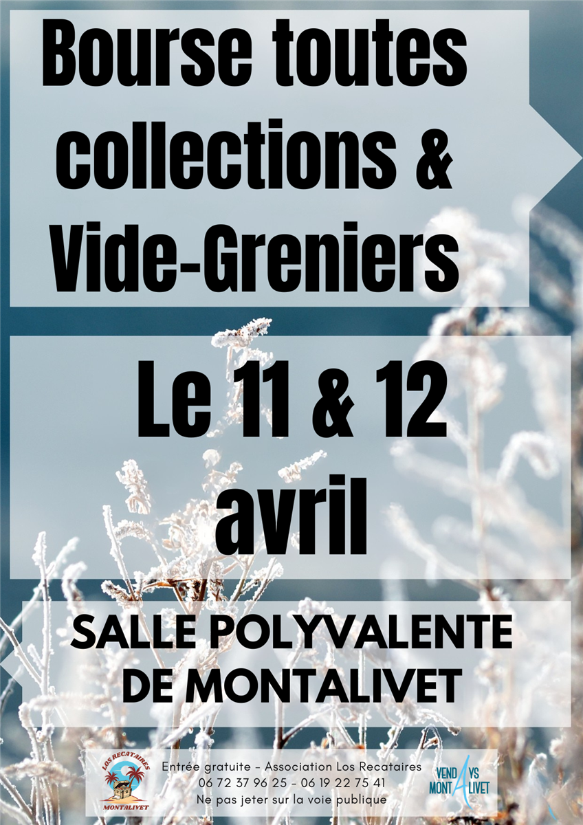 Bourse toutes collections & vide greniers