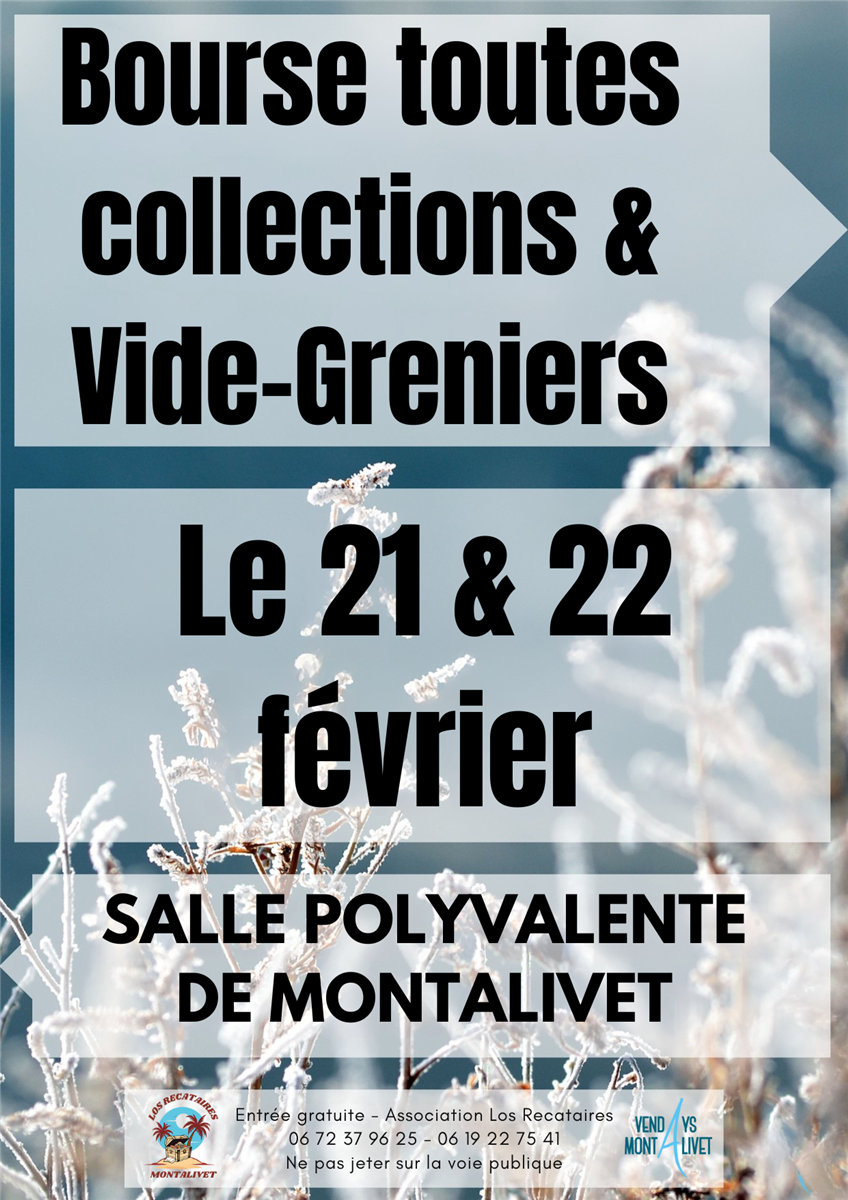 Bourse toutes collections & vide greniers