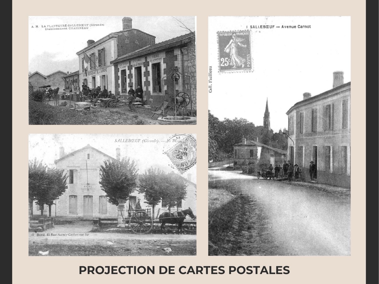 Si Sallebœuf vous était conté