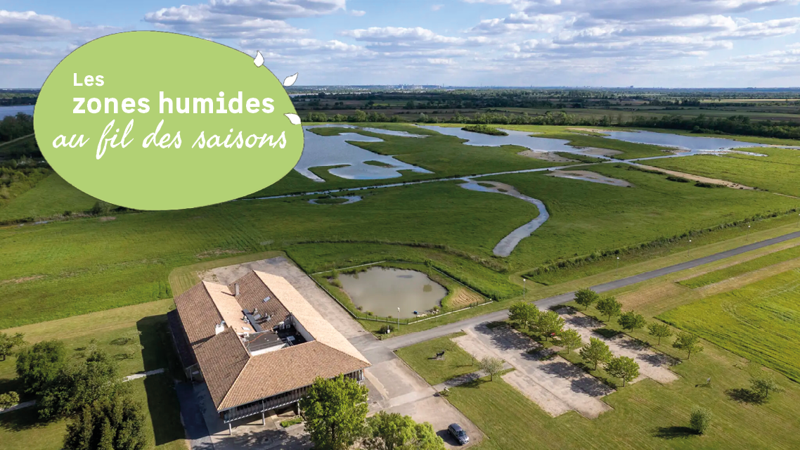 A la découverte des oiseaux migrateurs et de l ...