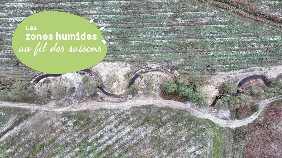 Découverte du fonctionnement des cours d’eau e ...