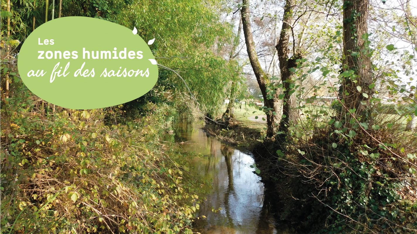 Sortie entre les jalles : venez découvrir Cast ...