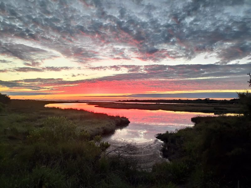 Domaine de Certes et Graveyron : Un soir sur l ...
