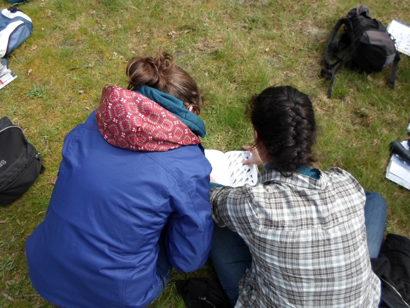 Rallye nature - Les oiseaux