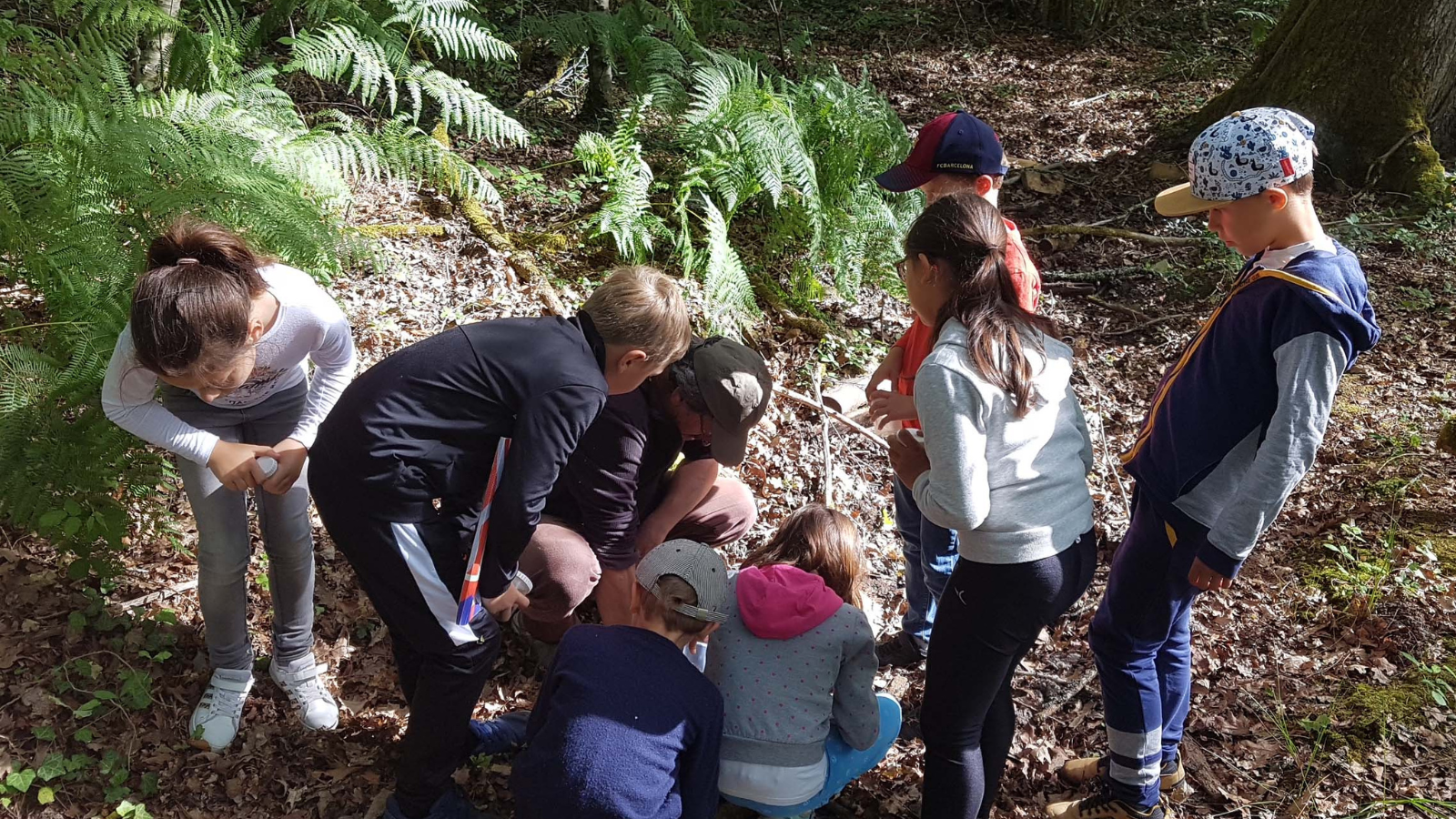 Les ateliers de la forêt