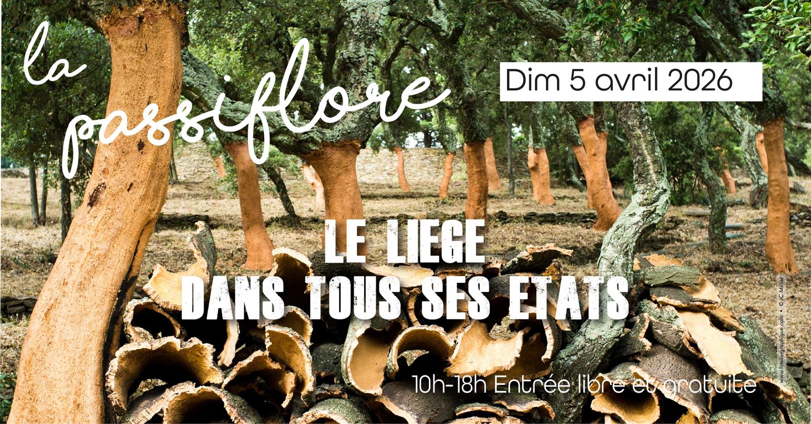 Foire aux plantes "La Passiflore" : le liège d ...