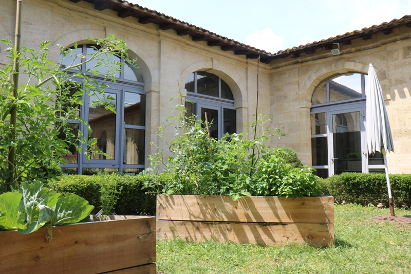 Atelier couleur végétale à la médiathèque de S ...