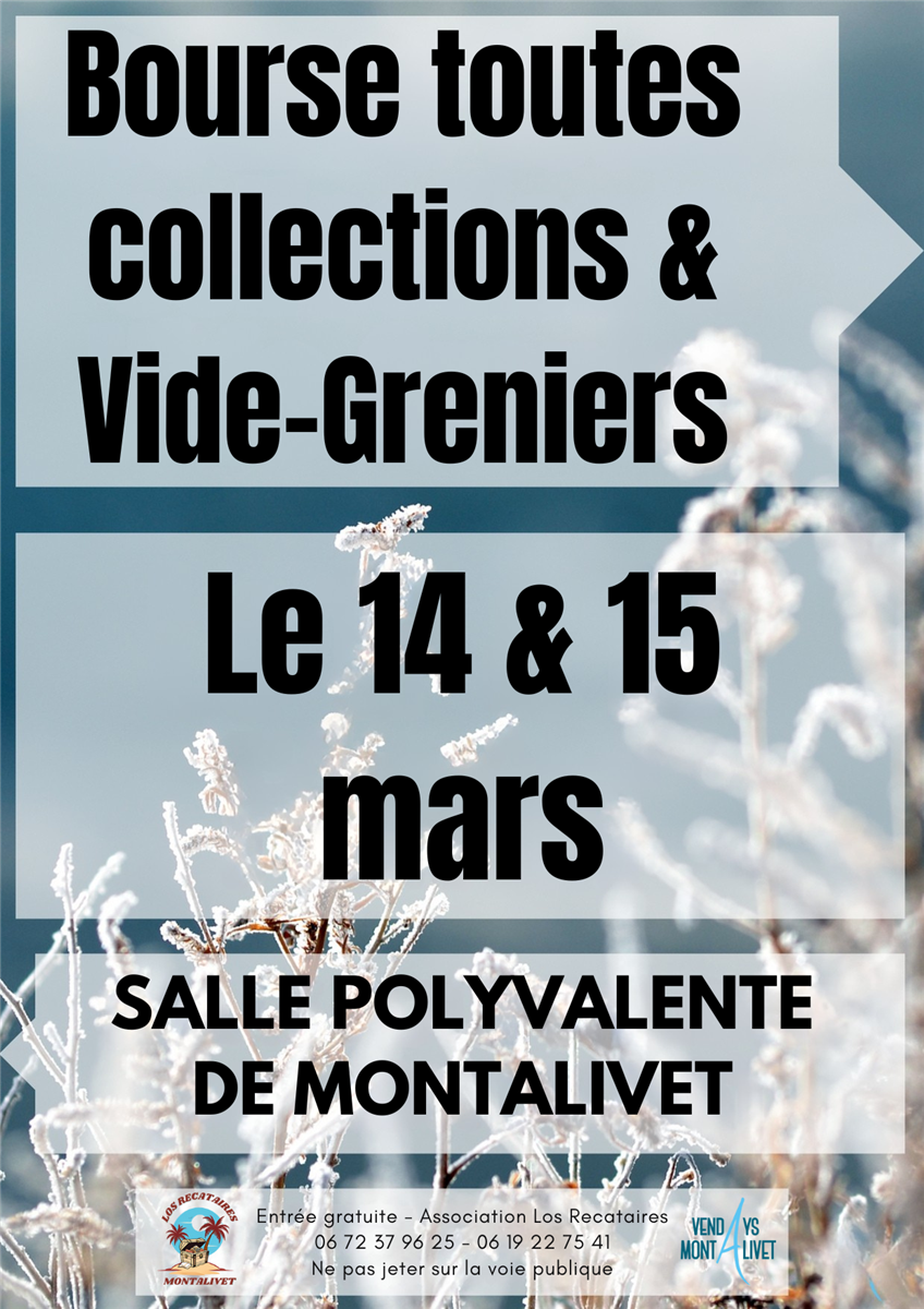 Bourse toutes collections et Vide-greniers