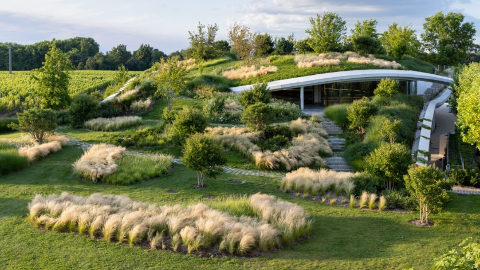 Soirée immersive à Haut-Bailly avec visite des ...